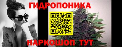 a pvp Бийск