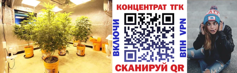 купить   Санкт-Петербург  MEGA онион  ТГК вейп 