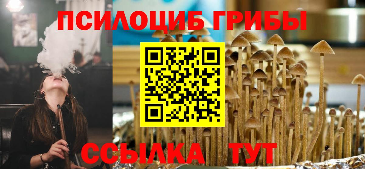 Галлюциногенные грибы MAGIC MUSHROOMS  Санкт-Петербург  Псилоцибиновые грибы мицелий 