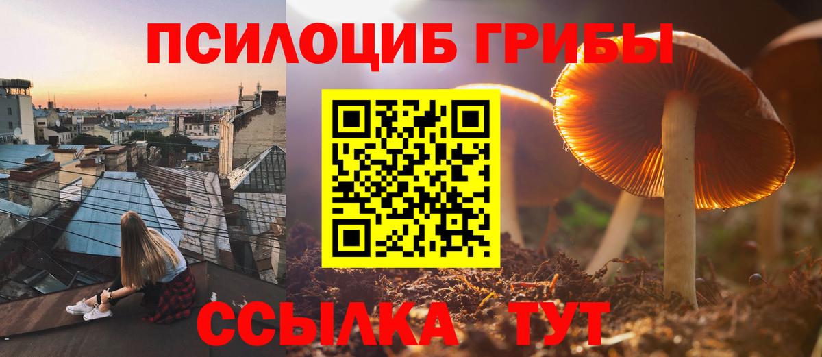 Галлюциногенные грибы MAGIC MUSHROOMS  как найти закладки  Санкт-Петербург  Вход с VPN 