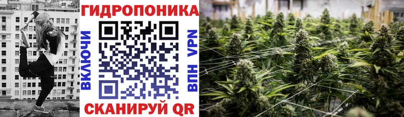 Каннабис ГИДРОПОН  Санкт-Петербург 